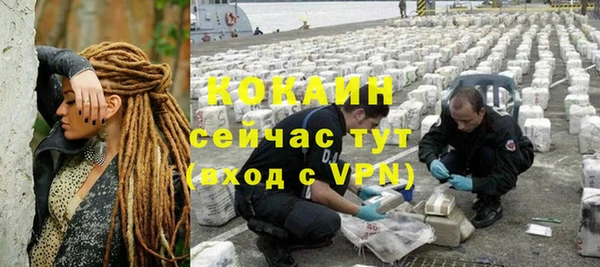 спайс Алексин