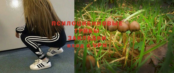 таблы Алзамай