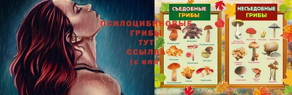 спайс Алексин
